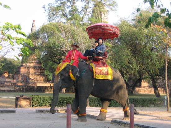 Poor creatures being used as tourist traps