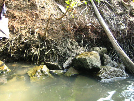 Where they clean their silverware