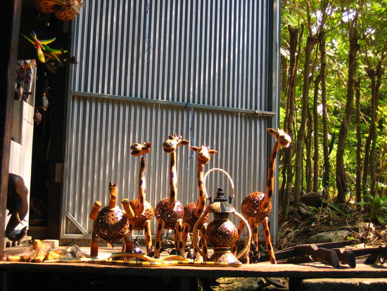 Lamps made out of coconut shells-- these were pretty cool