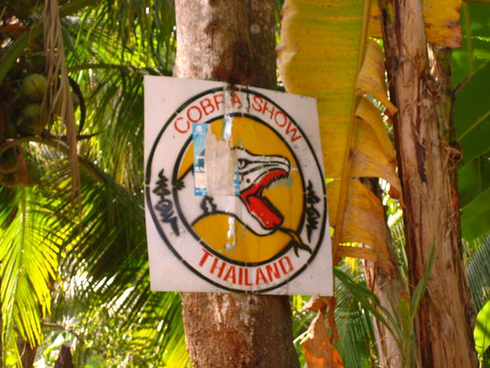 These signs were posted everywhere throughout Damnoen Saduak