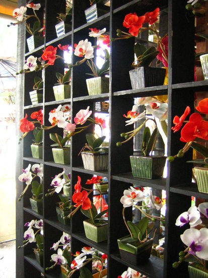 You can find anything from flowers...