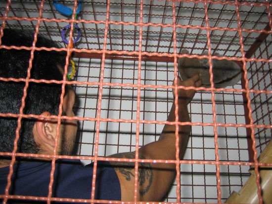 We take turns petting Snoopy