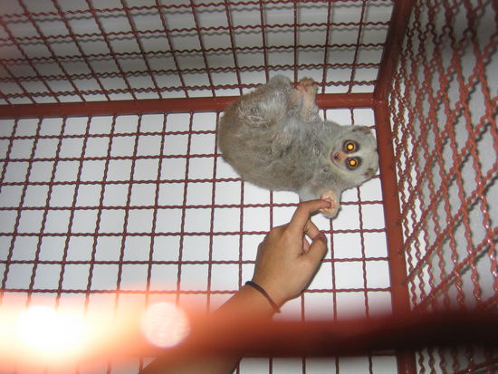 Here he is grabbing my finger