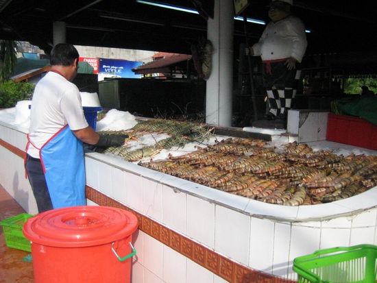 The prawns are huge down here!