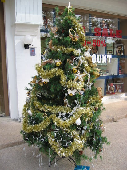 Christmas trees everywhere!