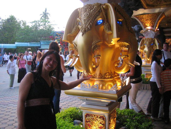 I'm feeding him a golden peanut