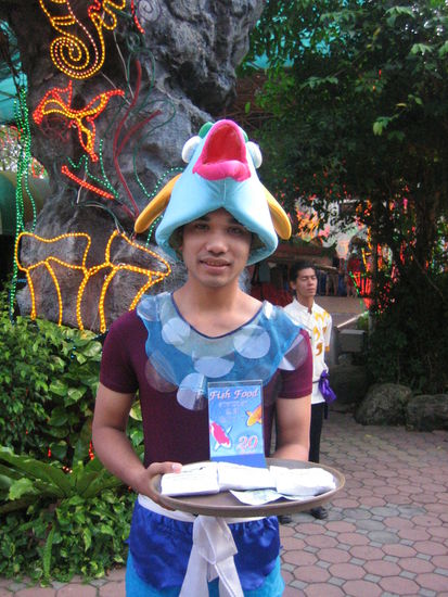 The guy responsible for the Koi frenzy