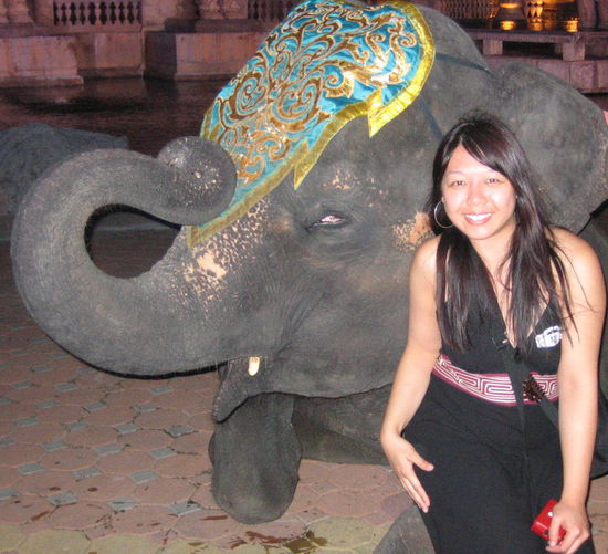 Me and this adorable baby elephant