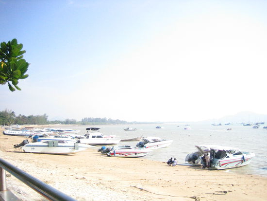 The many speedboats dotting the shore