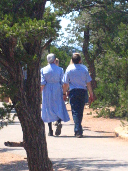 Our first Amish sighting
