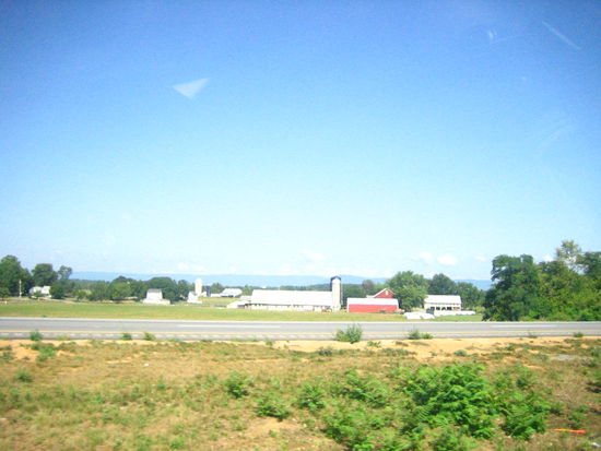 Farms, farms everywhere