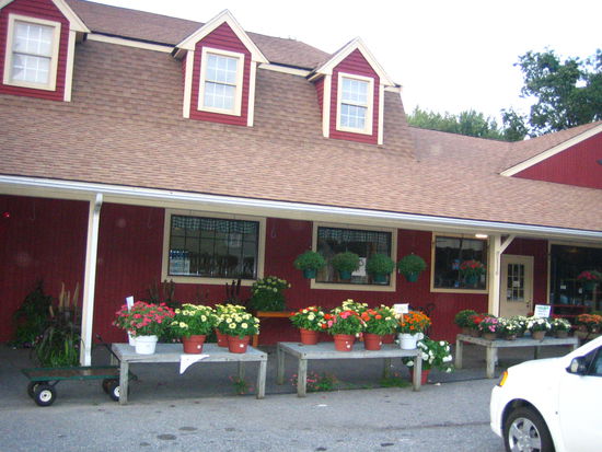 We got a lot of looks here...especially from pale freckle-faced red-headed girls