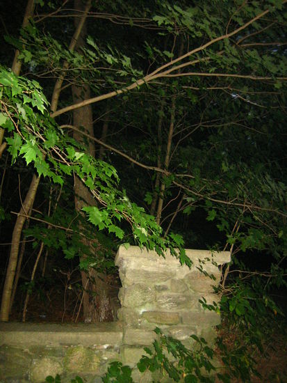 We loved to scare ourselves by driving into the wooded areas