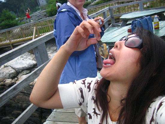 Now we're just being retarded