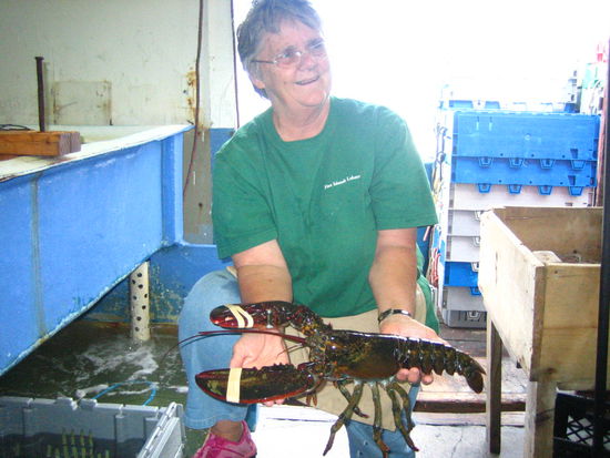 Holding the 3lb champion