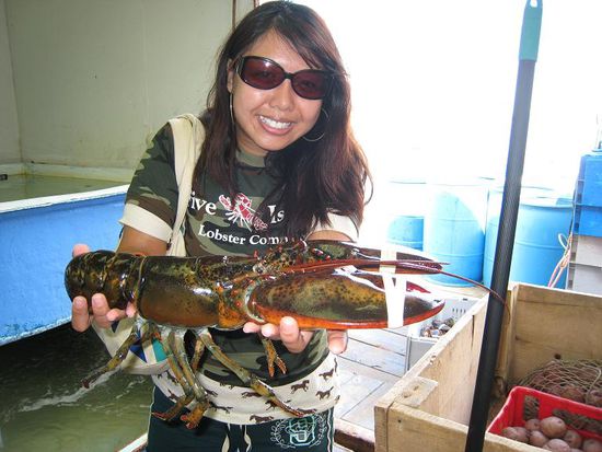 Damn! I should've ordered this one