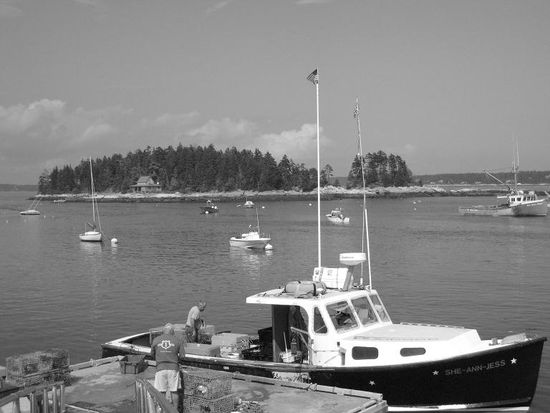 The men responsible for such delightful catches