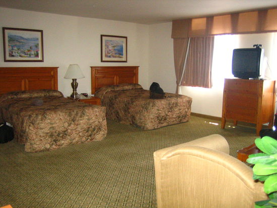 Our spacious but dimly lit room