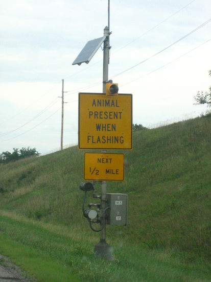 Sometimes, the light would be flashing and if we got lucky, we'd get to see... a construction worker