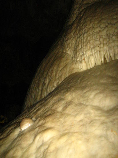 "...and that over there sweetie, well, that's called a genital wart"