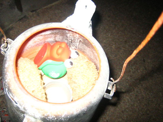 Contents inside the smelly pail