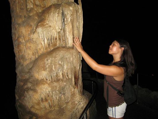 In adoration of the fossilized snails