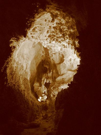 The (vaginal) cave of wonders