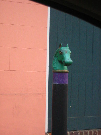 We saw these all over the French Quarter