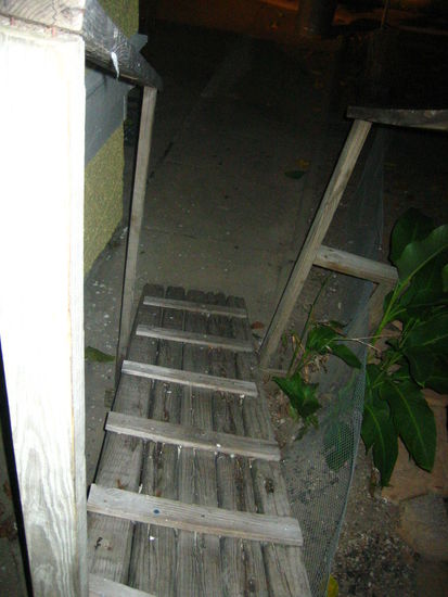 The rickety steps leading to our room
