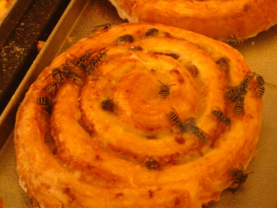 Deliciously nutritious