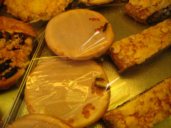 Look at the damage done