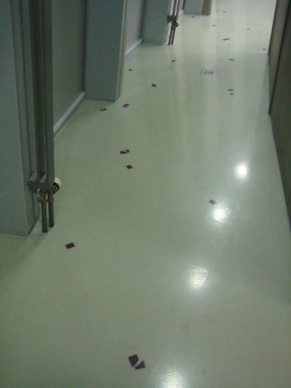 Even the restrooms were 'chocolate-themed'