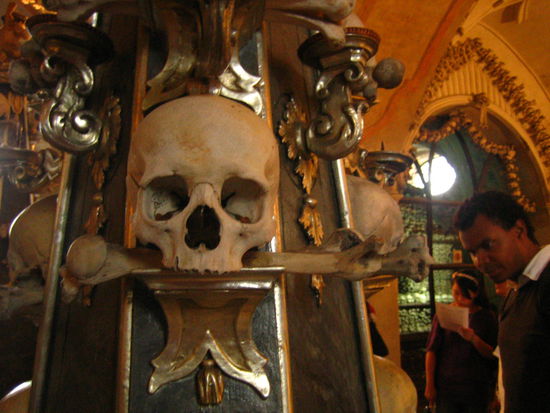 Adam surveys the skeletal pieces