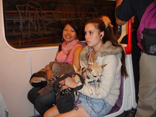 Subway ride to meet Pavel and company for dinner. This dog reminds me of Scruffles. I miss my Potato