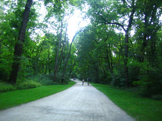 On our relaxing walk, we saw people riding bikes...