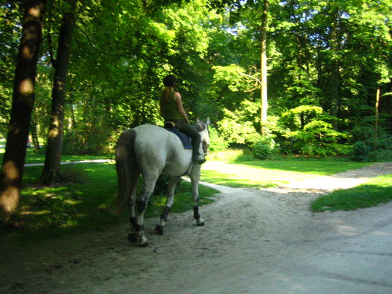 ...and big horses...