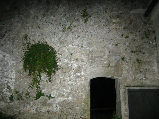 Walking in the middle of the woods, in the dark, at nighttime to find our hostel was NOT fun