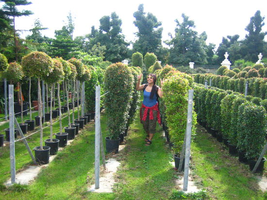 The Orangerie, where Mozart gave his first performance as a child