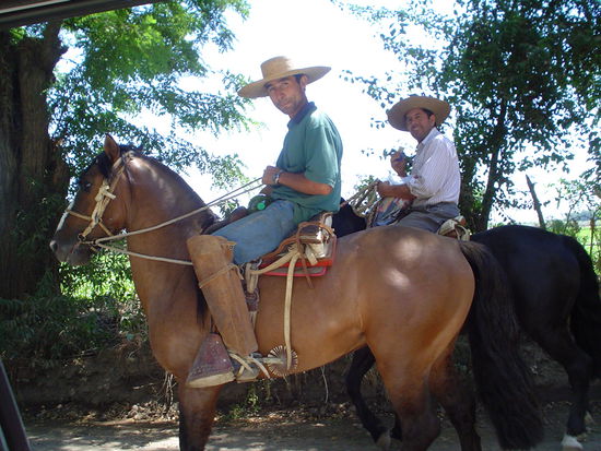 Huasos (Chilean Cowboys)
