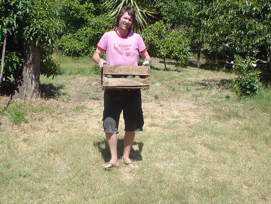 Julius picked all them avacadoes all by his self!
