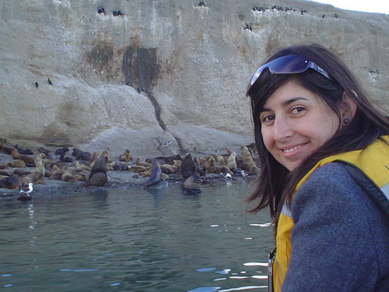 Can you see the little babies? So cute!