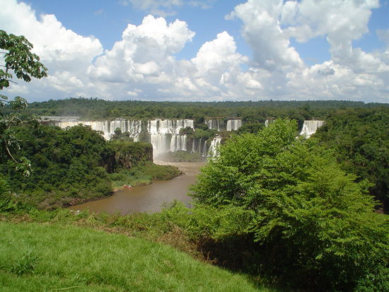 There they are (at least part of them)