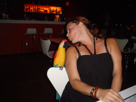 Jo couldn´t get enough of the birds so she bought a foam version and tried to teach it to talk. ¨Hola, hola, hola¨