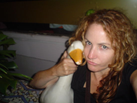 Where Curly made friends with a goose