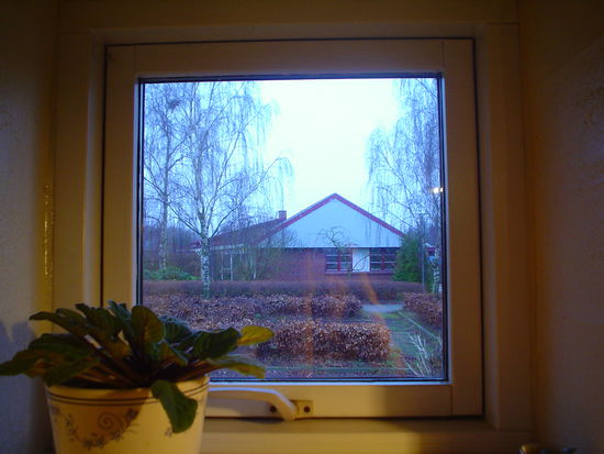 View from Torben and Angelika's kitchen window.