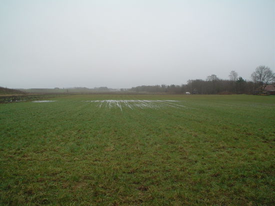 This is a very, very Danish scene.