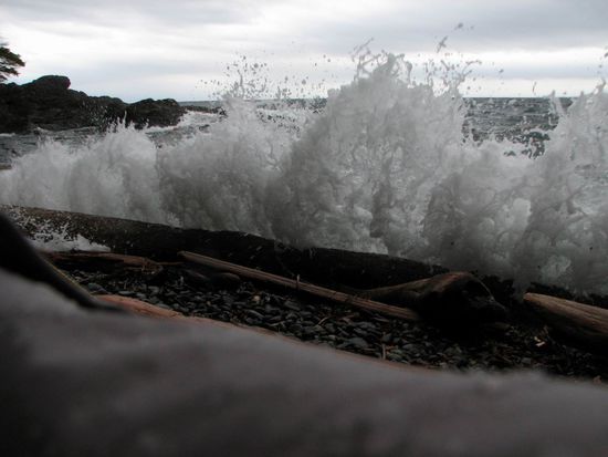 view from inside my tent
