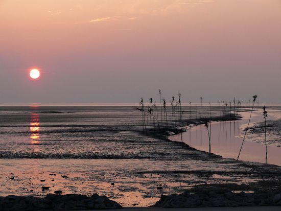 mud flat at Ehstensiel