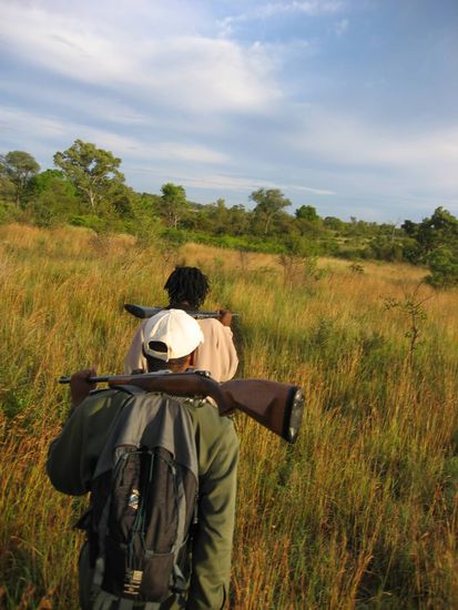 morning walk, heavily armed