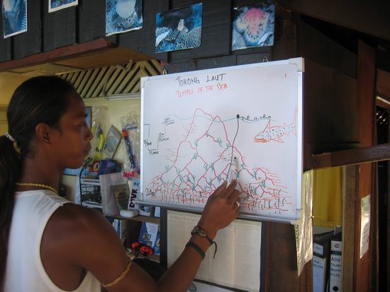 "so, today we are diving the temple of the sea, and who knows, maybe we'll see a whale shark..."